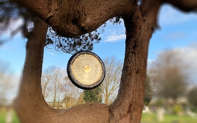 A gong hanging in a tree.