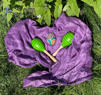 Two green rattles on a violet blanket in the garden.