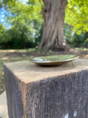 A shallow bowl.